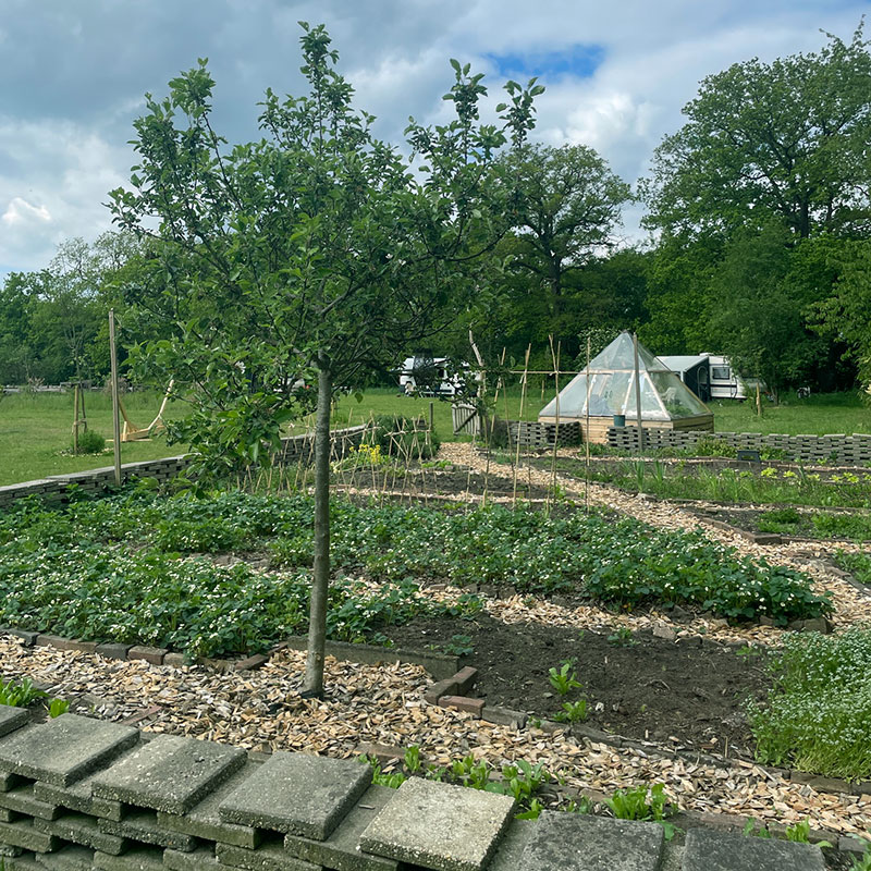 moestuin